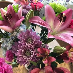 Meet your Posher, Jamie